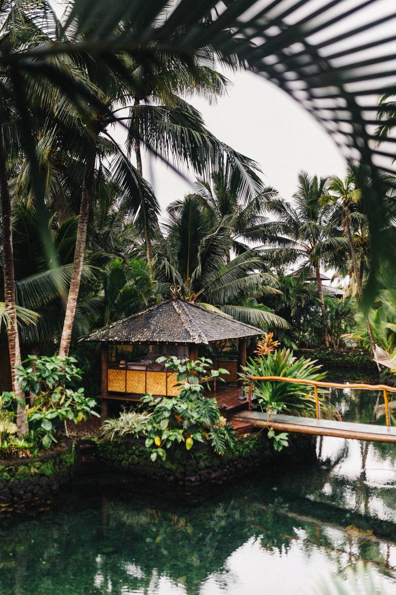 Stay off Social Media and Still Keep an Online Social Life 2 1