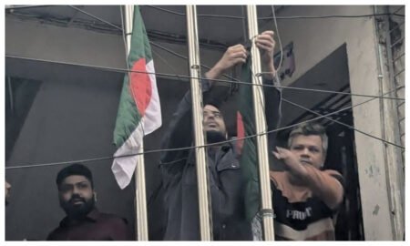 1771594671 074d9bdd66ababd08f932be10bc07a17