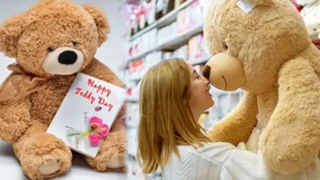 টেডি উপহার দেওয়ার দিন