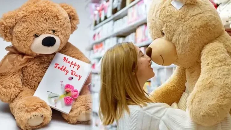 প্রিয়জনকে আজ টেডি উপহার দেওয়ার দিন টেডি উপহার দেওয়ার দিন