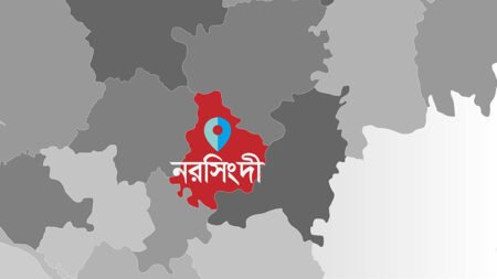 norsingdi 1687885848