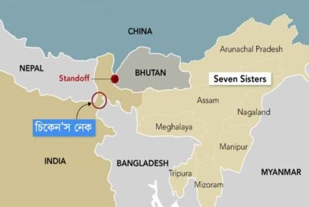 চিকেনস নেক